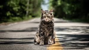 Come out the ground, not making a sound, the smell of death is all around, and the night when the cold wind blows. Pet Sematary Has A Shocking Change Yes Stephen King Approved The New York Times