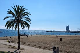 All barcelona beaches are equipped with showers, and priplyazhnyh cafe chiringuito work free toilets. Tips For A Great Beach Experience In Barcelona Shbarcelona