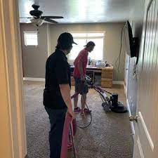 pink s carpet cleaning 353 photos