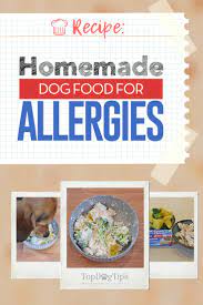 homemade dog food for allergies recipe