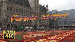 flower carpet 2016 flower carpet