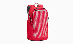 backpack leisure bags