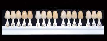 shades of tooth color superb dental care
