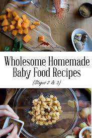 homemade organic baby food recipes with