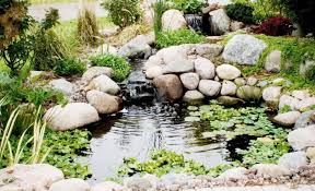 How To Make A Pond In Your Garden