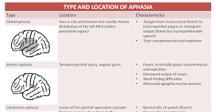 Type Location Basic Characteristics Of Aphasia Cheat