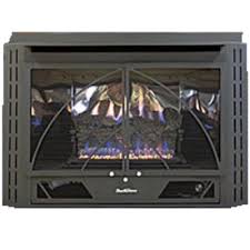 Fireplaces Gas Fireplaces Buck