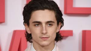 Not everyone can rock a full, dense. Timothee Chalamet Has Officially Found His Hair Twin Thanks To Twitter Teen Vogue