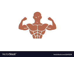body gym muscles logo vector image