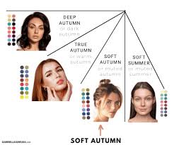 soft autumn the ultimate guide