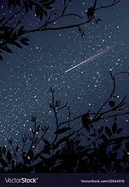 night with meteor and trees vector image