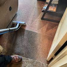 best carpet cleaners in sunnyvale ca