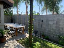 painting back yard concrete wall