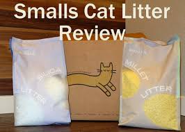 If your cat only spends a small amount of time outdoors, whilst supervised, then nail caps could still be an option. Smalls Cat Litter Review 2021 Cat Mania