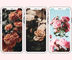41 free iphone vine flower wallpaper