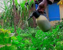 how to apply rabbit urine as fertilizer