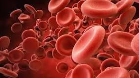 hemoglobin-artarsa-ne-olur