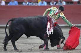 El libro Derecho y cultura taurina defiende la legalidad de las corridas de  toros