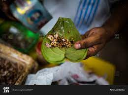 street seller flavors a betel nut leaf