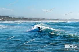 surf session at sao torpes beach