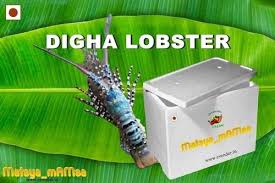 green digha lobster gift pack for