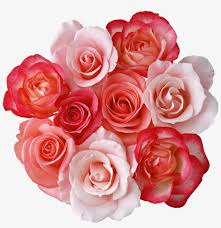 free png roses bouquet png