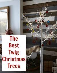 The Best Twig Tree For