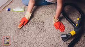 the 13 best carpet cleaning calgary