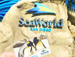 Don't miss out on the full experience: Our Best Tips For Seaworld San Diego