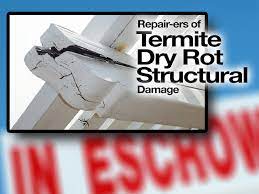 Deck Wood Termite Dry Rot Repair