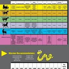An Easy To Follow Guide To Vaccinating And Worming Your