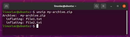 how to unzip files in linux with exles