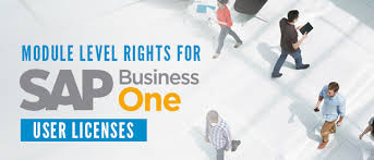 Module Level Rights For Sap Business One User Licenses