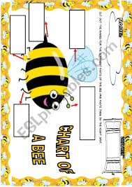 Bee Chart Esl Worksheet By Luseera