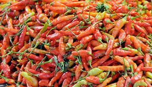 How Hot Is That Pepper How Scientists Measure Spiciness