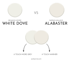 Benjamin Moore White Dove Everything