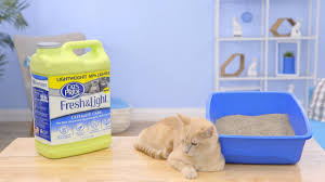 Cats Pride Fresh Light Cat Litter Chewy