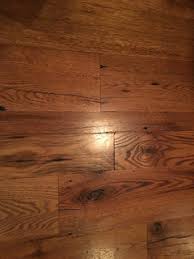 hardwood floors a dog