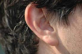 earlobe anatomy function and treatment