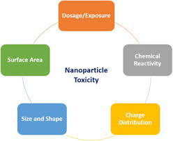 environmental impacts of nanoparticles