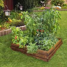 Diy Raised Beds In The Vegetable Garden