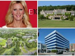 Hours before new york gov. Andrew Cuomo And Sandra Lee List New Castle Home Carnegie Estate N Millbrook On Sale For 14m And More Westchester Fairfield Real 2state News