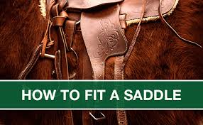 how to fit a horse saddle equine
