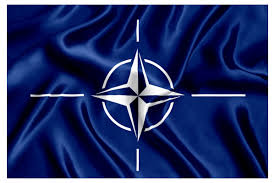 NATO Genç Profesyoneller Programı Başvuru Çağrısı - AB-ilan.com