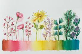 Watercolour Artwork With Flowers