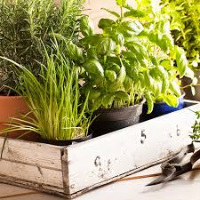 How To Make A Custom Indoor Herb Garden