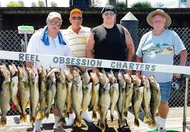 Image result for walleye shortage