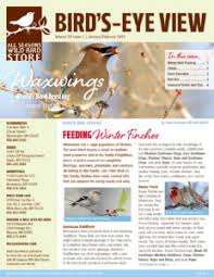 bird s eye view newsletter archives