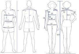 Collection by jozsi bartalis • last updated 10 weeks ago. Human Body Sizes For Men Women Download Scientific Diagram