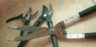 how to sharpen pruning tools expert